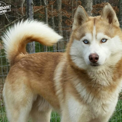 1a20151230_142403-1-1-1edwater